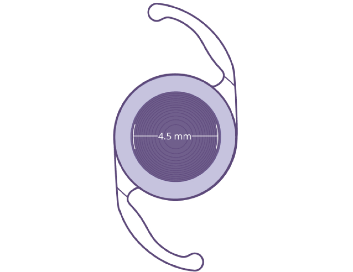 See Things Differently