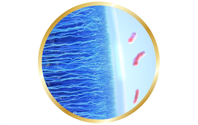 CELLIGENT® Technology