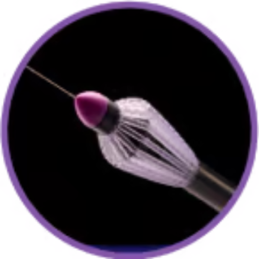 Sharkskin Circle with Black Background