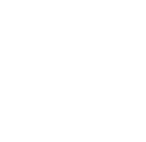 stop watch icon