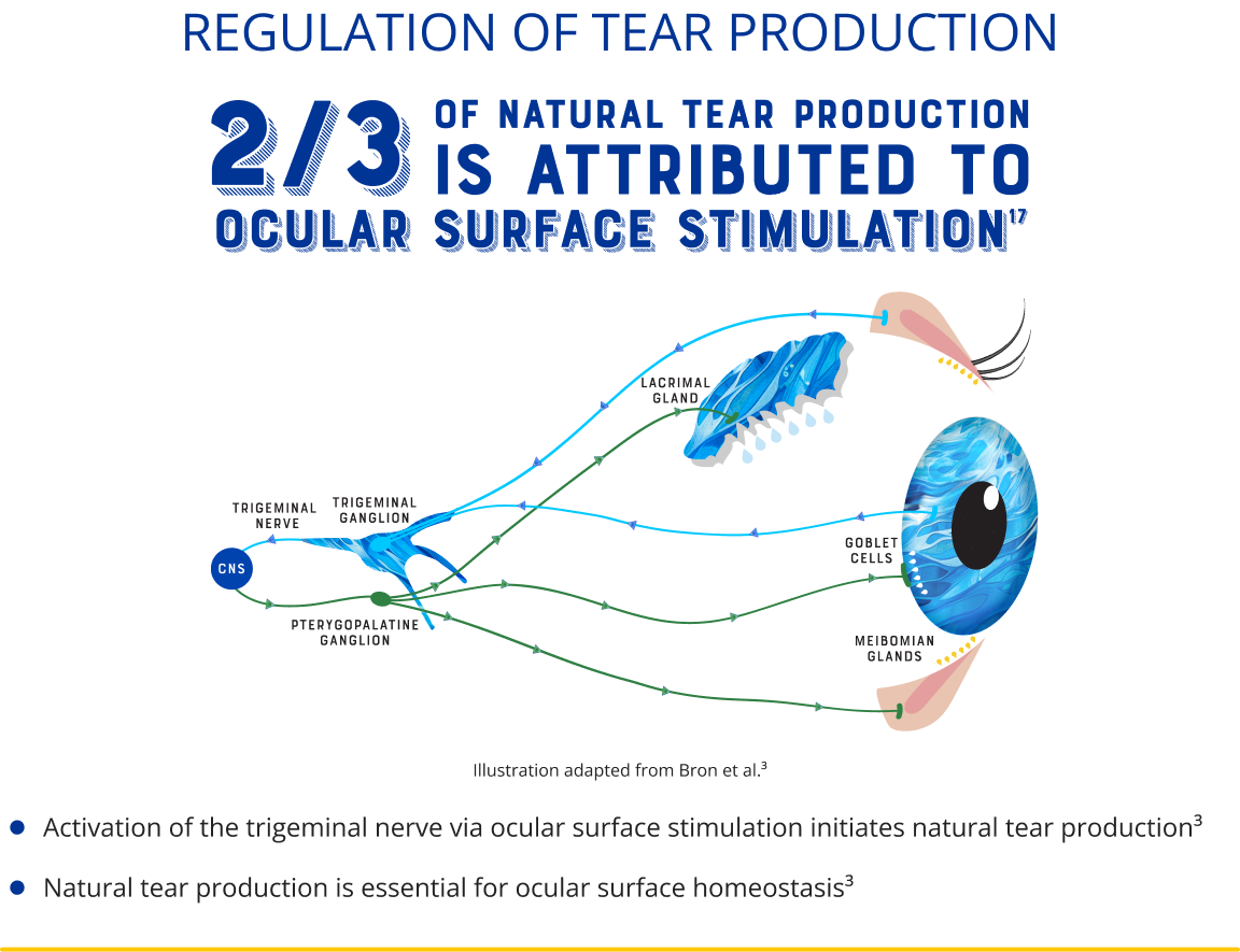 Illustrative infographic of the lacrimal functional unit (LFU), which consists of the ocular surface (conjunctiva with goblet cells, cornea, meibomian glands, and accessory lacrimal glands) and the main lacrimal glands, regulated by the trigeminal nerve