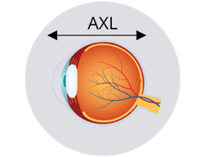 A cross-sectional illustration of an eye showing axial length (AXL) measurement, represented by a double-headed arrow spanning from the cornea to the retina.