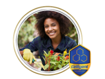 product box for Dailies Total1 Multifocal daily contact lenses by Alcon