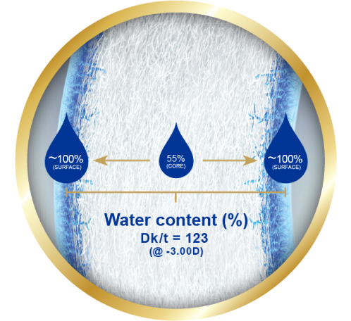 Surface of eye showing gradual transition of water content from 33% at the core to nearly 100% at the lens surface