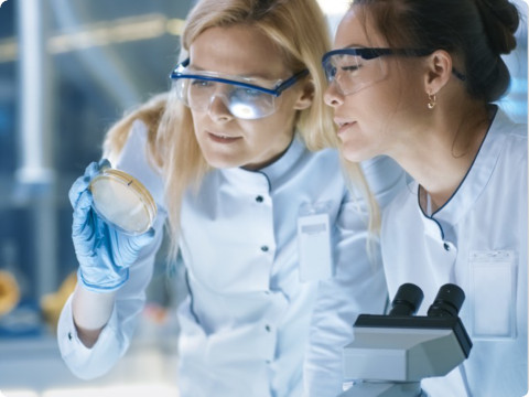 Two female scientists wearing lab coats, safety glasses, and gloves examine a petri dish in a laboratory. One holds the dish up while the other leans in to observe. A microscope sits on the table nearby and the background features laboratory equipment.