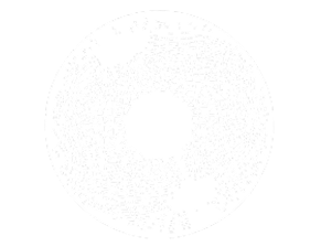 Wireframe 3D sphere of an eye with central crosshair markings over a blue background