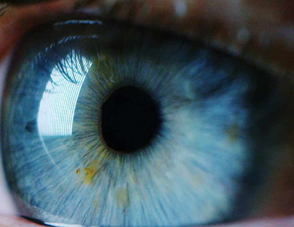 Extreme close-up of a blue eye showing the iris, pupil, and reflected light