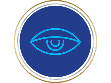 CONSTELLATION® Vision System